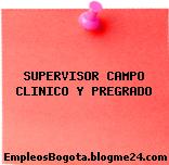 SUPERVISOR CAMPO CLINICO Y PREGRADO