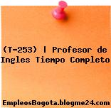 (T-253) | Profesor de Ingles Tiempo Completo