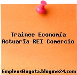 Trainee Economía Actuaría REI Comercio