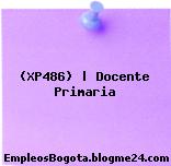 (XP486) | Docente Primaria