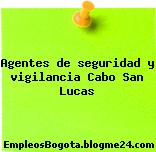 Agentes de seguridad y vigilancia Cabo San Lucas