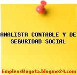 ANALISTA CONTABLE Y DE SEGURIDAD SOCIAL