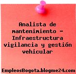 Analista de mantenimiento – Infraestructura vigilancia y gestión vehicular