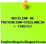 AUXILIAR DE PREVENCION-VIGILANCIA – (VB271)
