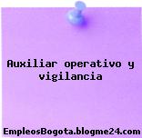 Auxiliar operativo y vigilancia