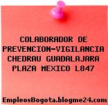 COLABORADOR DE PREVENCION-VIGILANCIA CHEDRAU GUADALAJARA PLAZA MEXICO L847