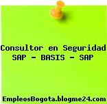 Consultor en Seguridad SAP – BASIS – SAP