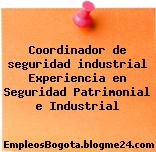 Coordinador de seguridad industrial Experiencia en Seguridad Patrimonial e Industrial