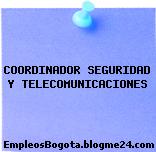 COORDINADOR SEGURIDAD Y TELECOMUNICACIONES