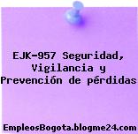 EJK-957 Seguridad, Vigilancia y Prevención de pérdidas