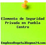 Elemento de Seguridad Privada en Puebla Centro