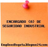 ENCARGADO (A) DE SEGURIDAD INDUSTRIAL