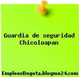 Guardia de seguridad Chicoloapan