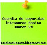 Guardia de seguridad intramuros Benito Juarez 24