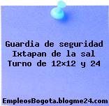 Guardia de seguridad Ixtapan de la sal Turno de 12×12 y 24