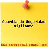 GUARDIA DE SEGURIDAD / VIGILANTE