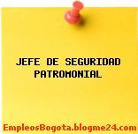 JEFE DE SEGURIDAD PATROMONIAL