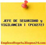 JEFE DE SEGURIDAD y VIGILANCIA | (PCU272)