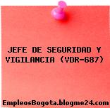 JEFE DE SEGURIDAD Y VIGILANCIA (VDR-687)