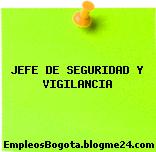 JEFE DE SEGURIDAD Y VIGILANCIA
