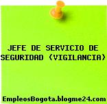 JEFE DE SERVICIO DE SEGURIDAD (VIGILANCIA)