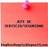 JEFE DE SERVICIO/SEGURIDAD