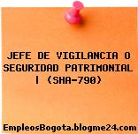 JEFE DE VIGILANCIA O SEGURIDAD PATRIMONIAL | (SHA-790)