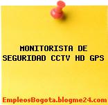 MONITORISTA DE SEGURIDAD CCTV HD GPS
