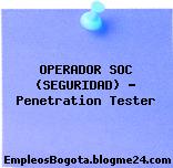 OPERADOR SOC (SEGURIDAD) – Penetration Tester