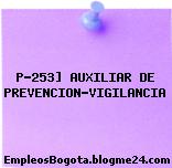 P-253] AUXILIAR DE PREVENCION-VIGILANCIA