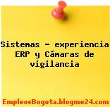 Sistemas – experiencia ERP y Cámaras de vigilancia