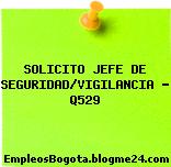SOLICITO JEFE DE SEGURIDAD/VIGILANCIA – Q529