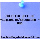 SOLICITO JEFE DE VIGILANCIA/SEGURIDAD – NND