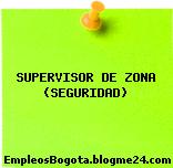 SUPERVISOR DE ZONA (SEGURIDAD)