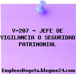 V-207 – JEFE DE VIGILANCIA O SEGURIDAD PATRIMONIAL