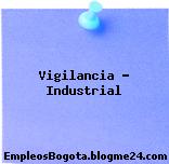 Vigilancia – Industrial