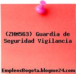 (ZHM563) Guardia de Seguridad Vigilancia